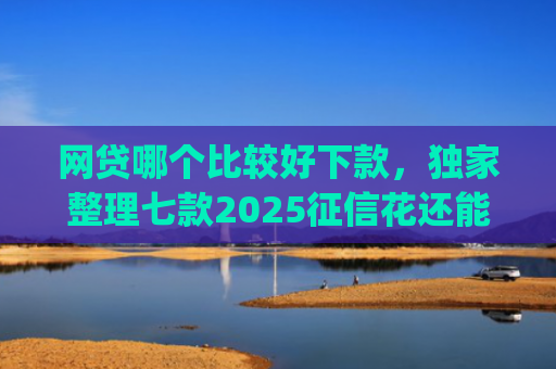网贷哪个比较好下款，独家整理七款2025征信花还能下款的app