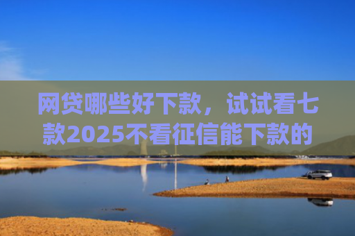 网贷哪些好下款，试试看七款2025不看征信能下款的app