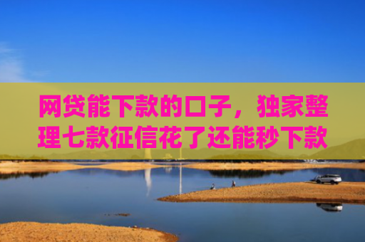 网贷能下款的口子，独家整理七款征信花了还能秒下款的app