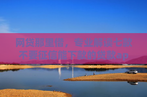 网贷那里借，专业解读七款不要征信能下款的贷款app