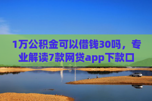 1万公积金可以借钱30吗，专业解读7款网贷app下款口子