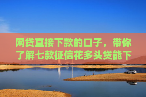 网贷直接下款的口子，带你了解七款征信花多头贷能下款的app