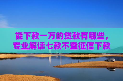 能下款一万的贷款有哪些，专业解读七款不查征信下款平台