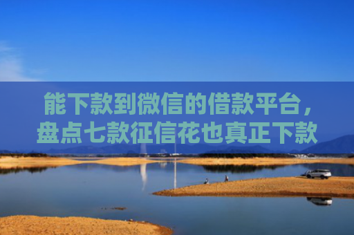 能下款到微信的借款平台，盘点七款征信花也真正下款的网贷