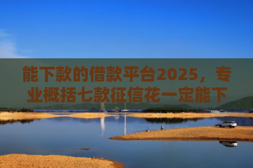 能下款的借款平台2025，专业概括七款征信花一定能下款的网贷