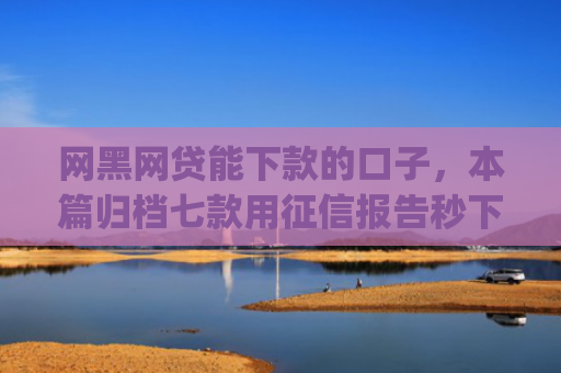 网黑网贷能下款的口子，本篇归档七款用征信报告秒下款的app6