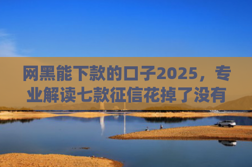 网黑能下款的口子2025，专业解读七款征信花掉了没有一家app下款