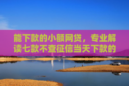 能下款的小额网贷，专业解读七款不查征信当天下款的平台