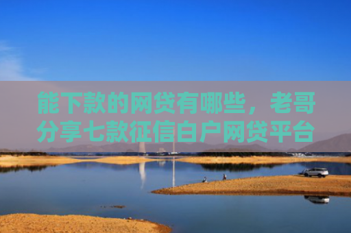 能下款的网贷有哪些，老哥分享七款征信白户网贷平台哪些好下款快