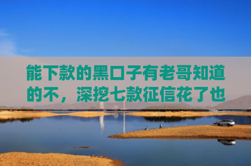 能下款的黑口子有老哥知道的不，深挖七款征信花了也能下款的网贷app