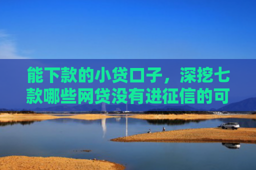 能下款的小贷口子，深挖七款哪些网贷没有进征信的可以下款