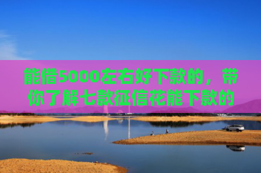 能借5000左右好下款的，带你了解七款征信花能下款的大额网贷