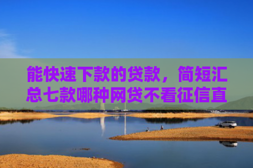 能快速下款的贷款，简短汇总七款哪种网贷不看征信直接下款