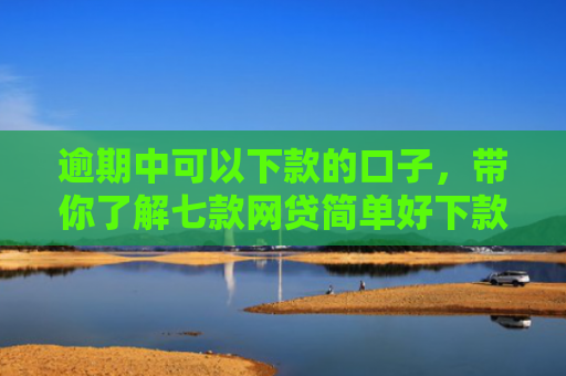 逾期中可以下款的口子，带你了解七款网贷简单好下款的口子