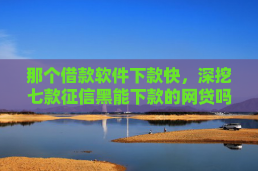 那个借款软件下款快，深挖七款征信黑能下款的网贷吗