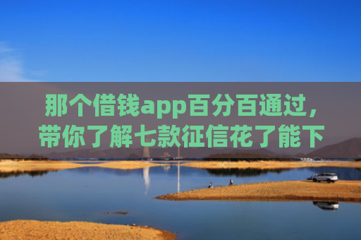 那个借钱app百分百通过，带你了解七款征信花了能下款的9网贷