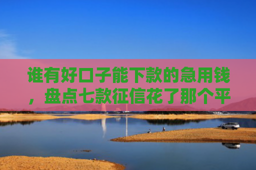 谁有好口子能下款的急用钱，盘点七款征信花了那个平台还可以下款