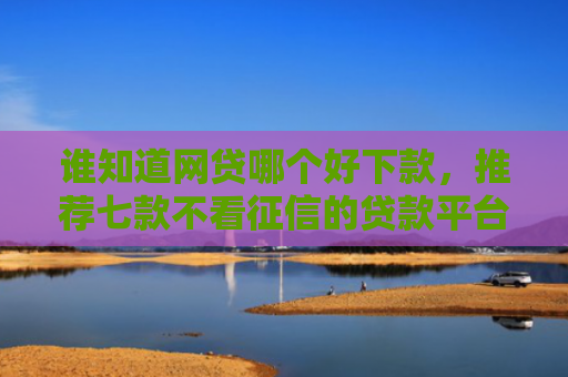 谁知道网贷哪个好下款，推荐七款不看征信的贷款平台一定能下款
