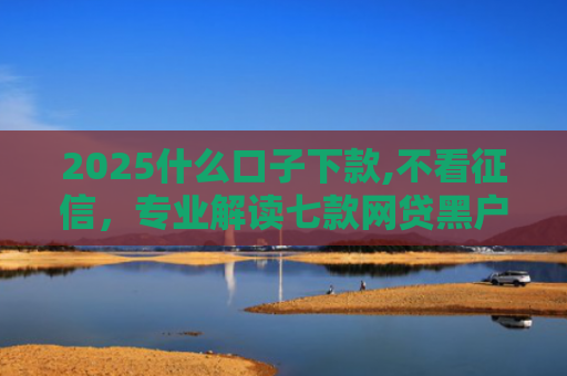 2025什么口子下款,不看征信，专业解读七款网贷黑户口子下款口子