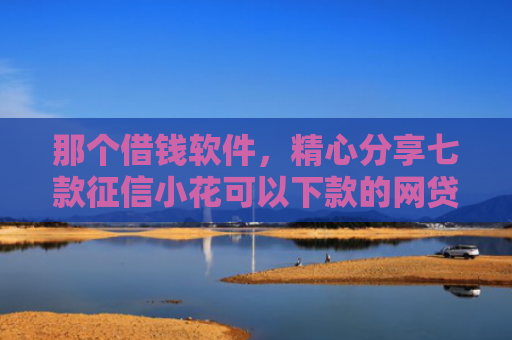 那个借钱软件，精心分享七款征信小花可以下款的网贷