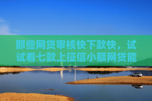 那些网贷审核快下款快，试试看七款上征信小额网贷能下款吗