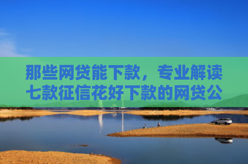 那些网贷能下款，专业解读七款征信花好下款的网贷公司