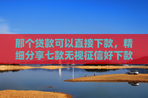那个贷款可以直接下款，精细分享七款无视征信好下款的网贷