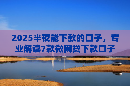 2025半夜能下款的口子，专业解读7款微网贷下款口子