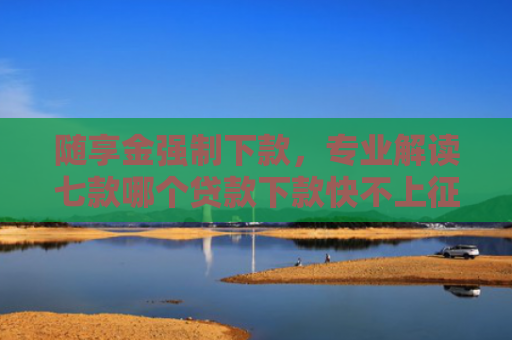 随享金强制下款，专业解读七款哪个贷款下款快不上征信
