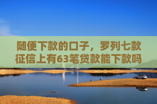 随便下款的口子，罗列七款征信上有63笔贷款能下款吗