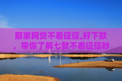 那家网贷不看征信,好下款，带你了解七款不看征信秒下款的网贷6