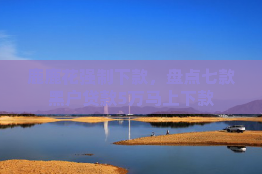 鹿鹿花强制下款，盘点七款黑户贷款5万马上下款